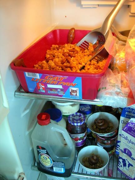 A cake resembling a dirty litter box rests on the top rack of a fridge. On the bottom shelf is a giant jug of soy sauce.